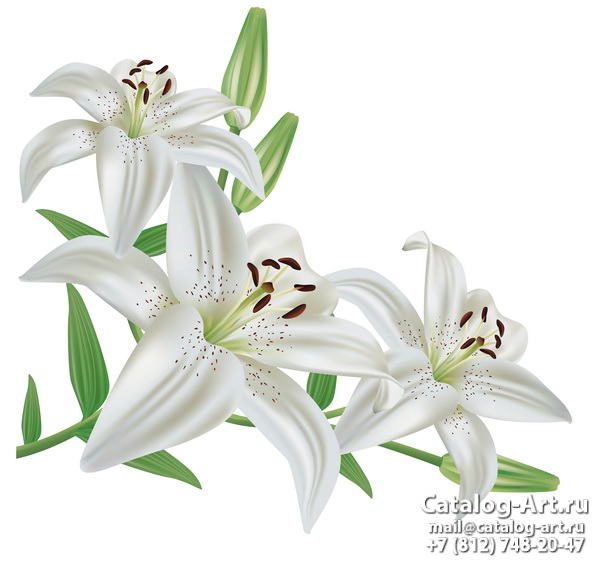 White lilies 23
